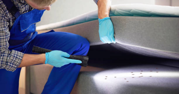 Pest Control for Restaurants in Delhi, CA
